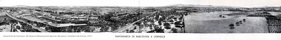 2 Panorámica